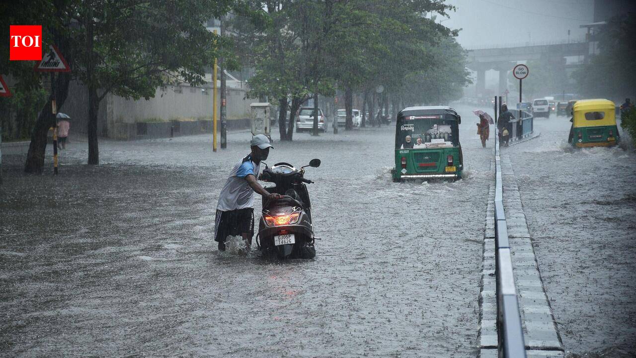Rain lashes parts of South Gujarat