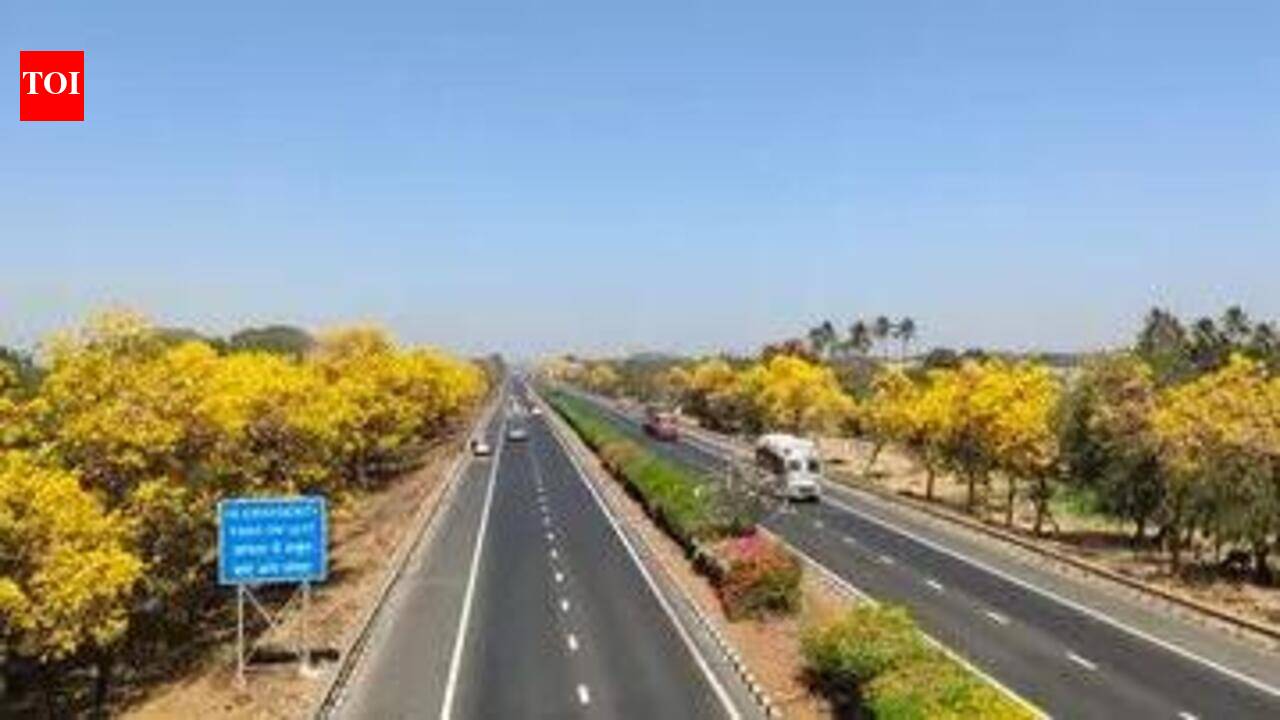 Finally, government sets up National Road Safety Board, Nitin Gokarn to head it