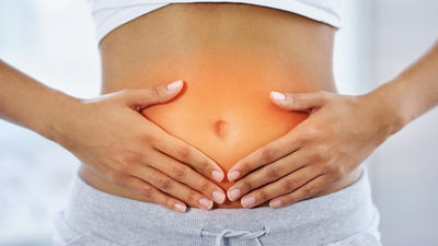 Why the gut behaves as your second brain