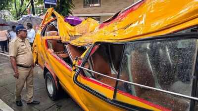 'Roots were flagged months ago': Mayor orders inquiry after tree crushes school van, kills 11-year-old in Mumbai