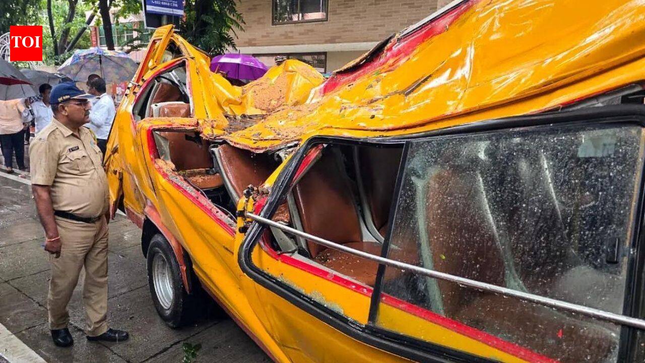 'Roots were flagged months ago': Mayor orders inquiry after tree crushes school van, kills 11-year-old in Mumbai