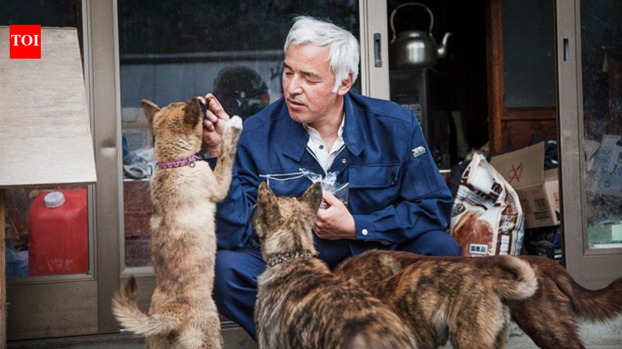 Fukushima nuclear disaster forced more than 150,000 people to flee and turned towns into ghost towns, but one man went back to save the animals: Meet Naoto Matsumura