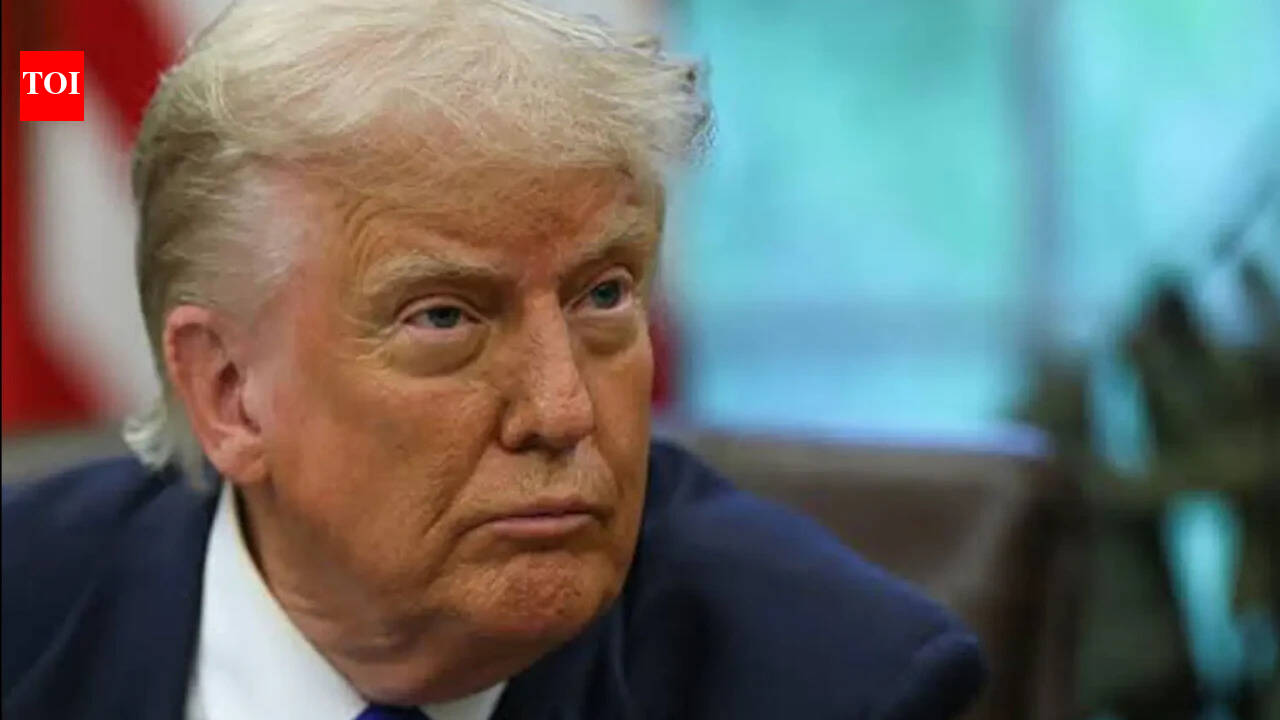 US cracks down on 'birth tourism', warns of visa fraud, money laundering charges: What it means