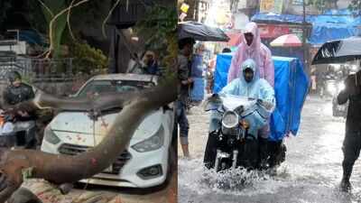 Heavy rain wreaks havoc in Kalyan-Dombivli, uproots trees, damages vehicles