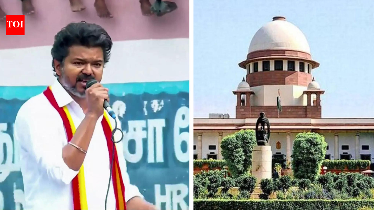 'HC went beyond ... ': Vijay-led Tamil Nadu government moves SC against order banning cow slaughter even on Bakrid