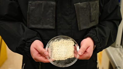 Scientists build a jacket that harvests nearly 1 litre of clean drinking water straight from the air