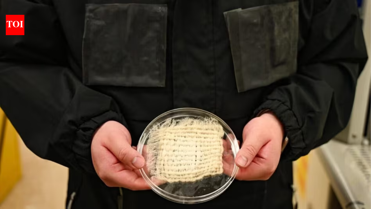 Scientists build a jacket that harvests nearly 1 litre of clean drinking water straight from the air