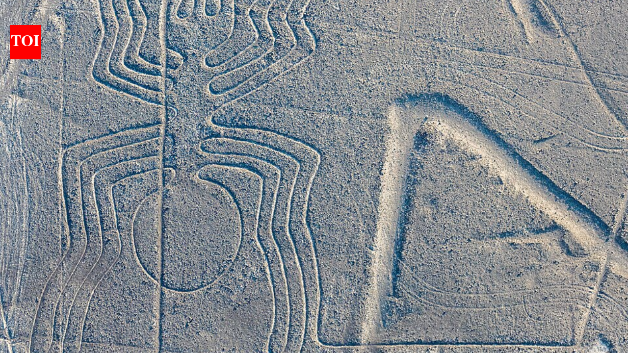In 2024, computer scientists analyzing Nazca images uncovered new geoglyphs hidden in the desert