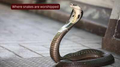 Where snakes are worshipped: 10 sacred and mysterious snake temples of India every traveller should visit
