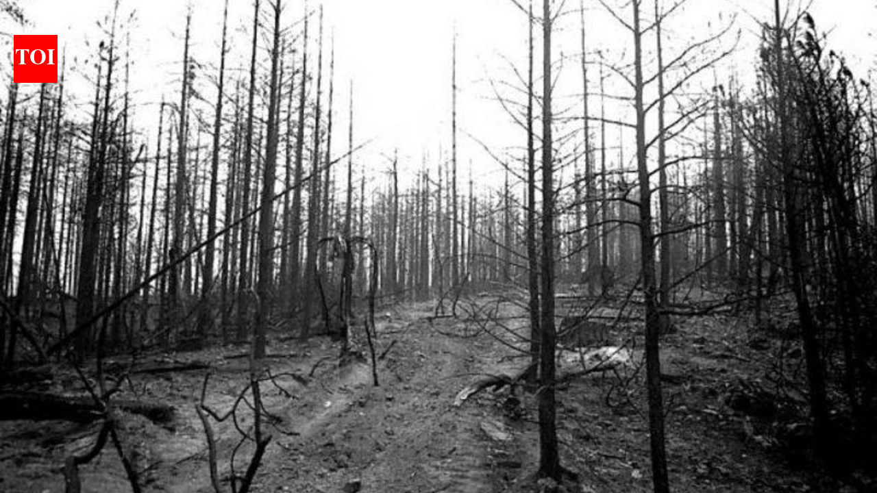The legend of California's terrifying Char-Man: How a wildfire gave birth to one of America's haunting legends
