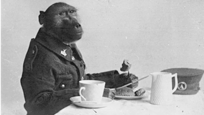 Meet Corporal Jackie: The South African baboon who served alongside soldiers during the First World War and became a war hero
