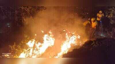 Satellite data flags high fire incidents in Haryana before crop burning season