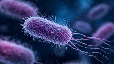 Global AMR Fund picks 12 Indian innovations to tackle antibiotic resistance in environment