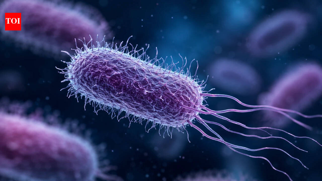 Global AMR Fund picks 12 Indian innovations to tackle antibiotic resistance in environment