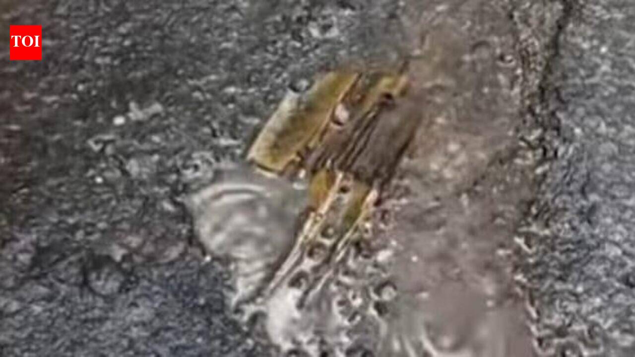 2 college girls wading through flooded Sion-Panvel highway at Nerul suffer electric shocks from exposed live wire