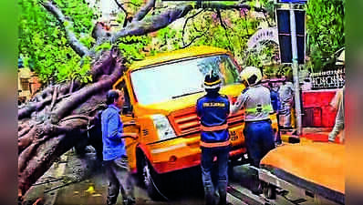 Chembur tree fall: Two boys still admitted, 2 girls discharged