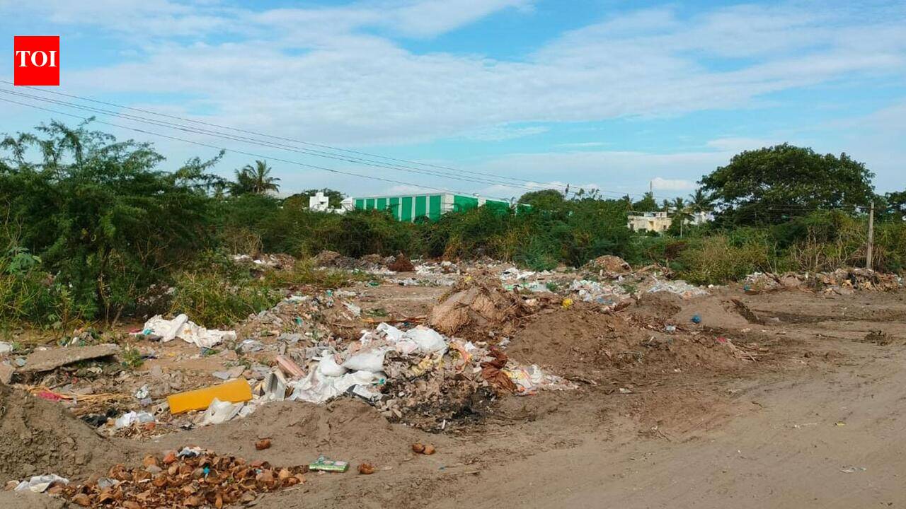 Abandoned food street spot still a dumpsite in Madurai