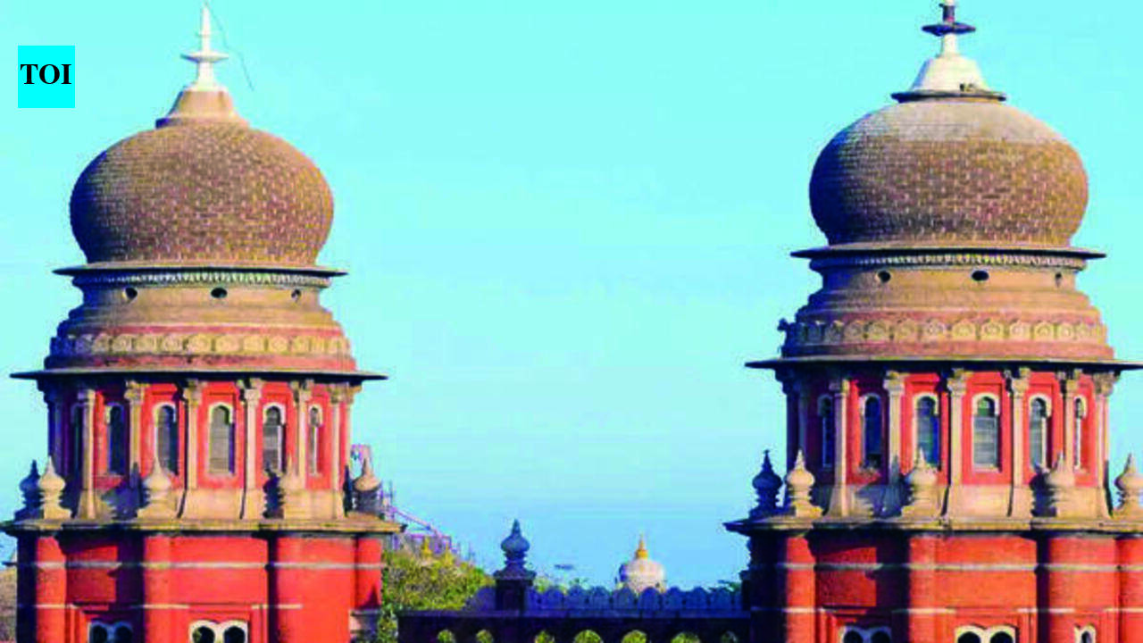 Woman’s dignity can’t be at mercy of fake profile: HC