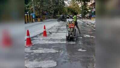 Mumbai legislator seeks expert review of asphalt roads; flags footpath and green cover concerns