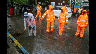 After Mumbai tree tragedy, Thane orders citywide survey of dangerous trees to prevent more accidents