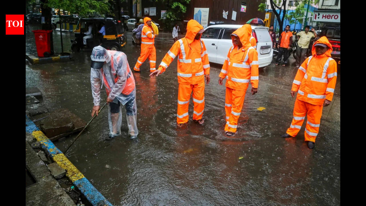 After Mumbai tree tragedy, Thane orders citywide survey of dangerous trees to prevent more accidents