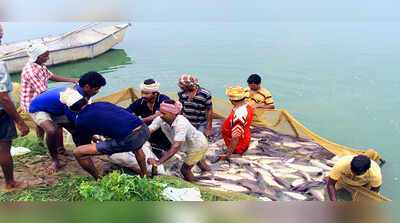 Cabinet clears Rs 2,295-cr deep-sea fishing mission