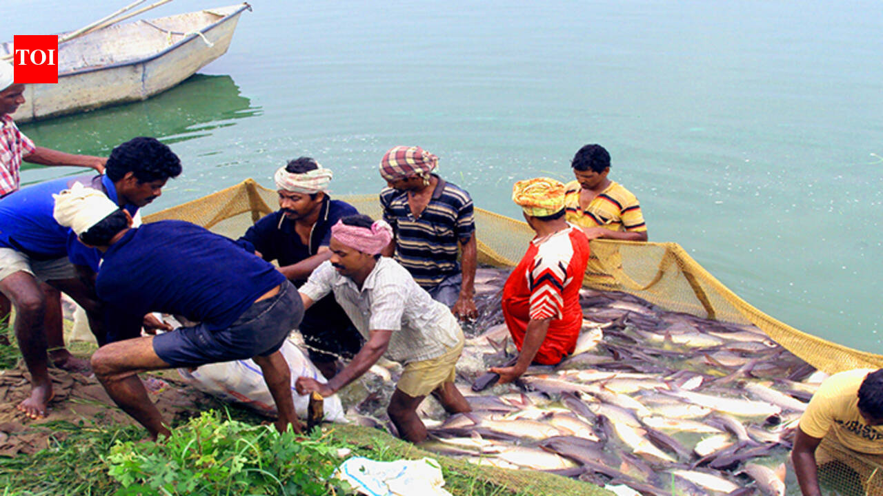 Cabinet clears Rs 2,295-cr deep-sea fishing mission