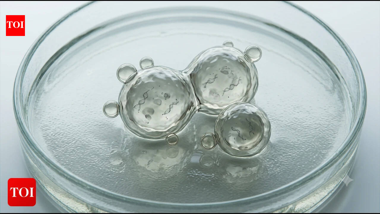 The SpudCell: Could some 'blobs' in a dish spark the 'Sputnik' moment for synthetic life?