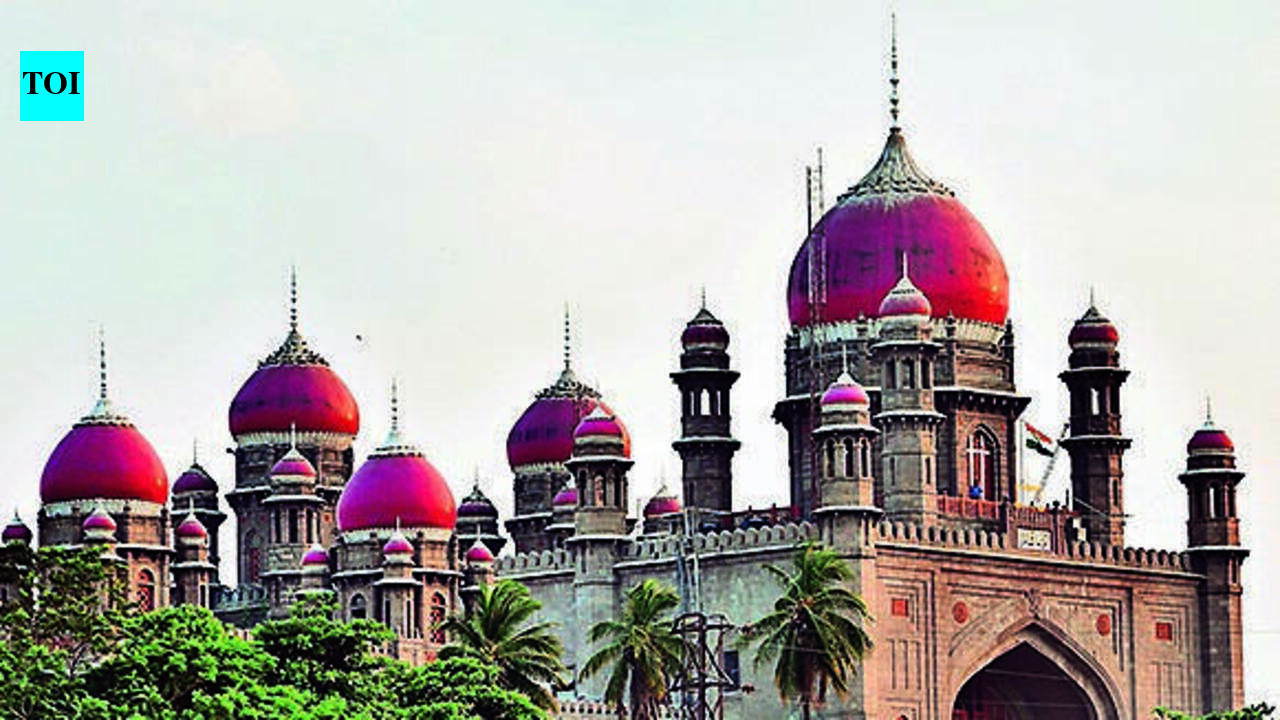 Telangana high court tells cops to respond on Bageerath’s bail