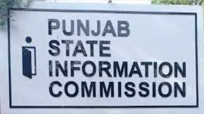 Action recommended against PSSSB officials over missing records