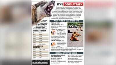 Mohali sees 7 dog-bites in 24 hours, locals seek action