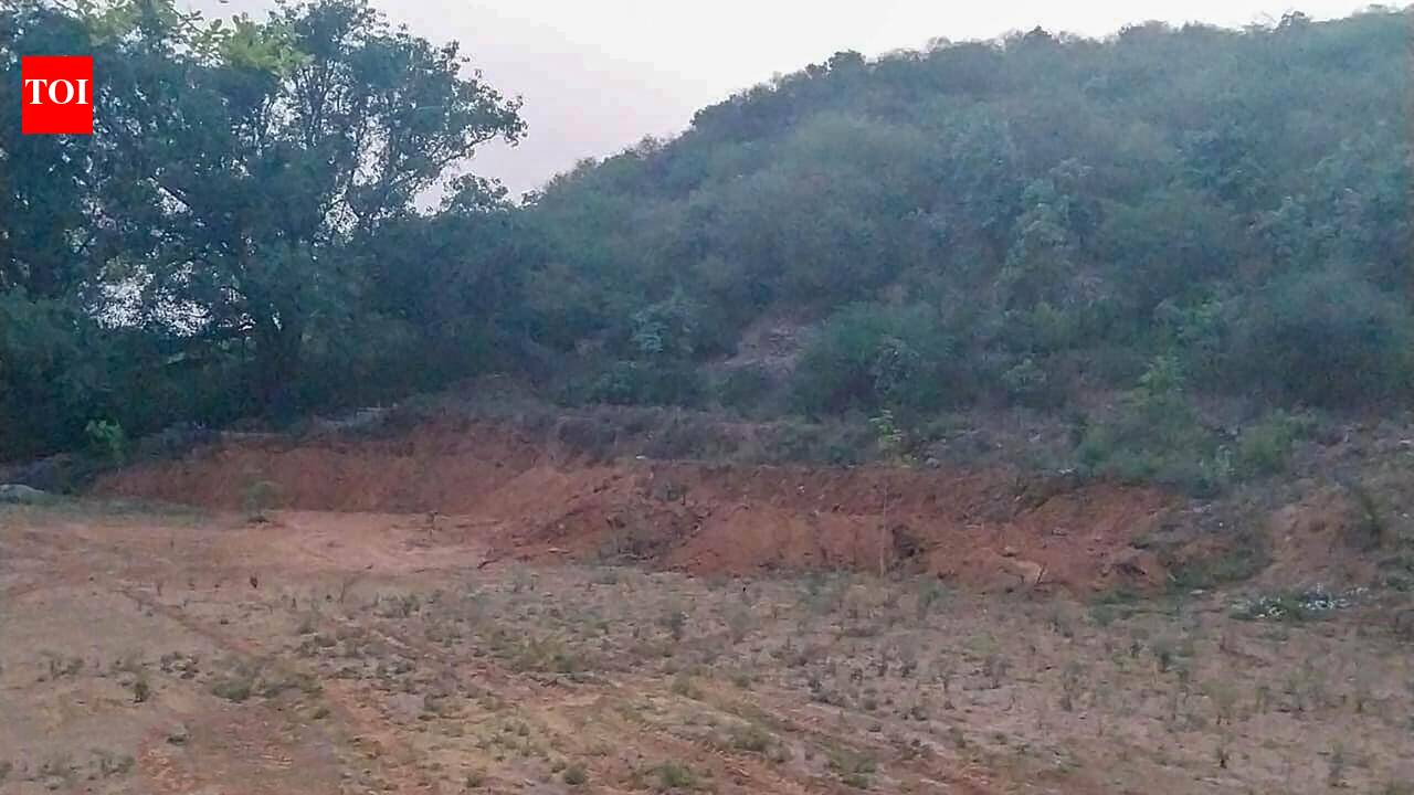 Section of Aravali hillock flattened in Mangar