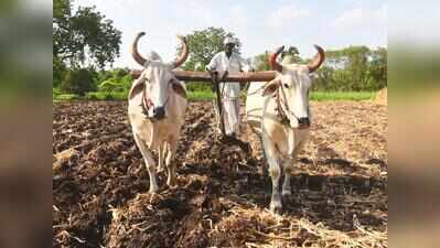 Over 1.8L farmers eligible for loan waiver scheme in Sambhajinagar