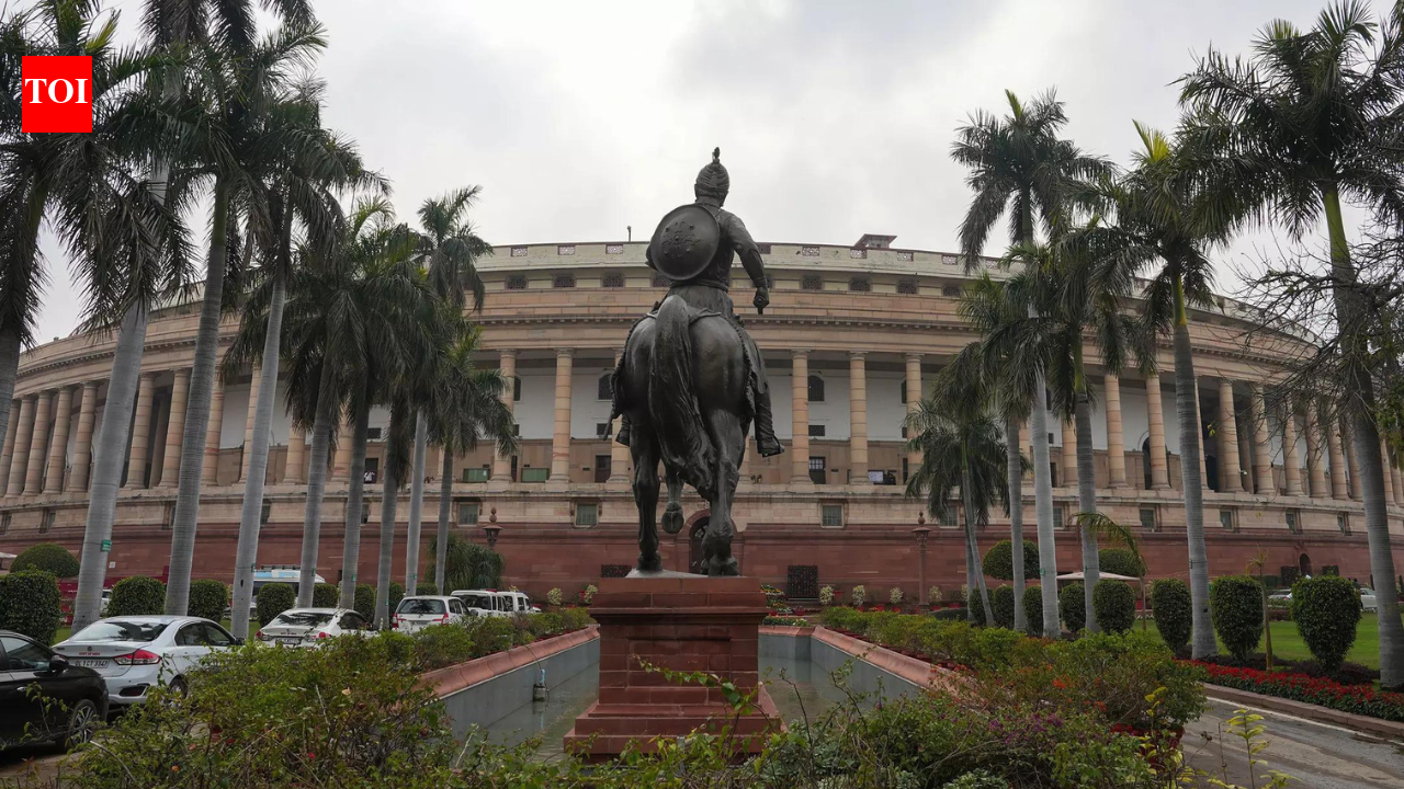 Panel to adopt report on bill to sack PM, CMs on July 17