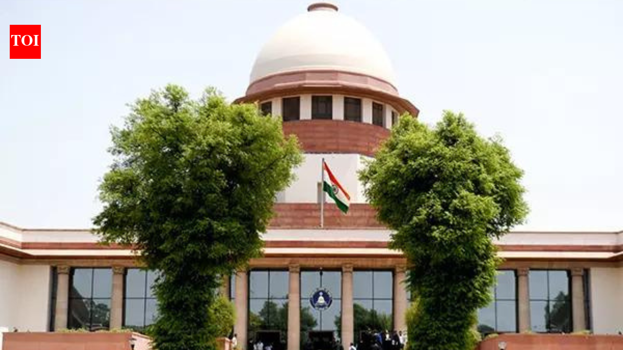 No default bail if chargesheet filed but not provided to accused: Supreme Court