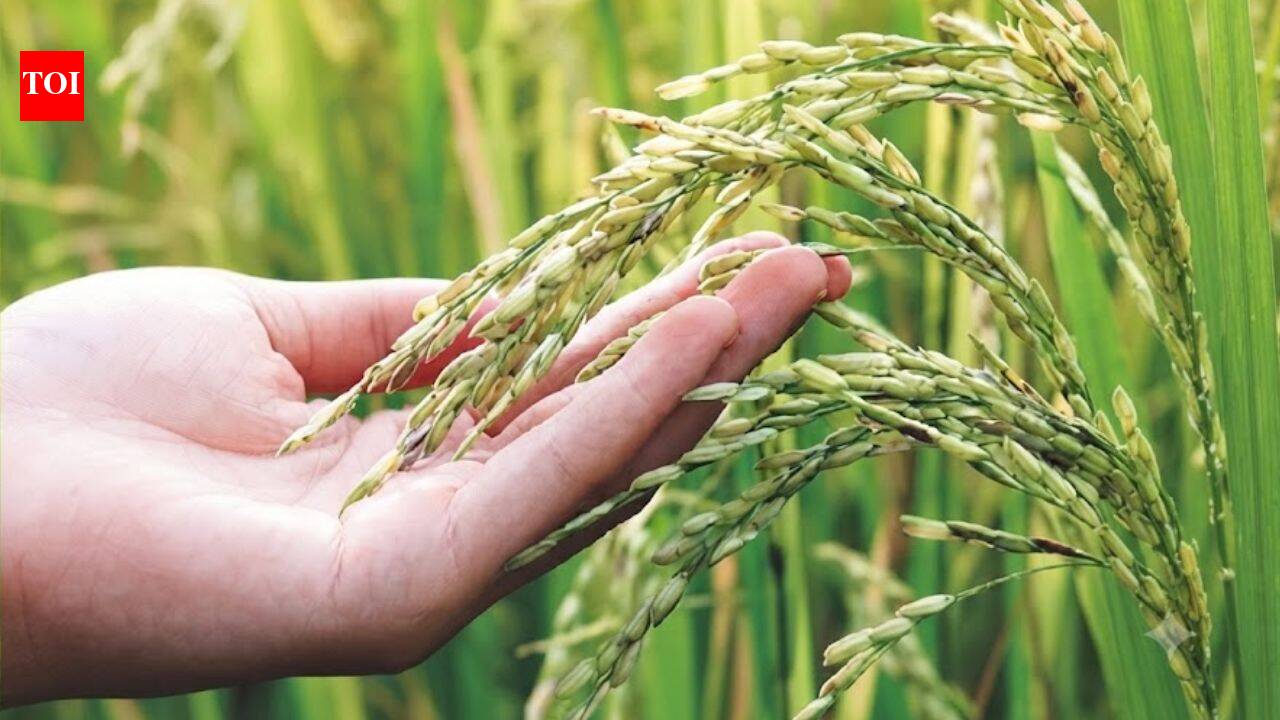 Kerala's June rainfall declines by 1. 4mm a year: IMD data