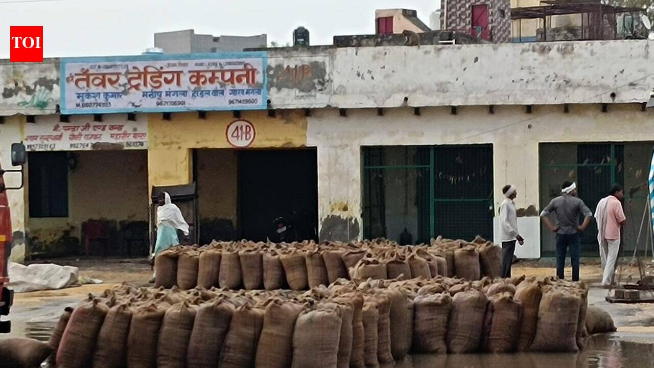 3 dead as dust storm hits West UP; crops suffer heavy damage