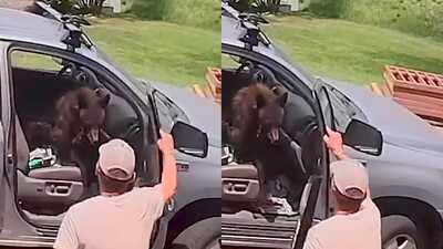 Man opens truck door to find a bear sitting in the front seat; what he did next leaves internet amazed