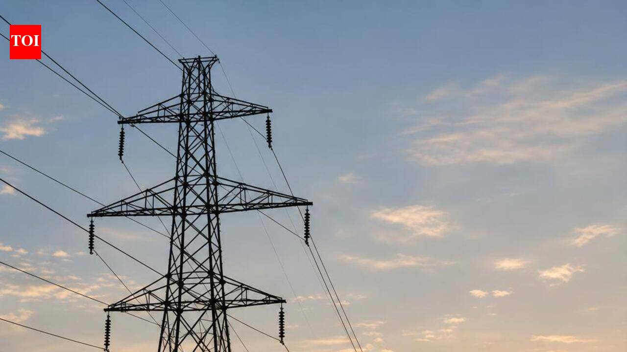 Karnataka weighs ‘Section 108’ route to decide on privatisation of power sector
