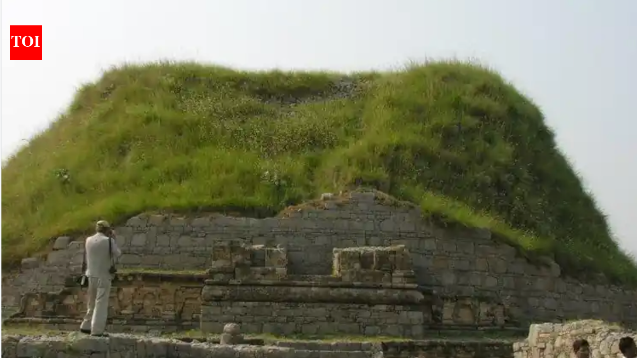 Unesco warns Pakistan over 'reconstructions' at Taxila, the Vedic-era city