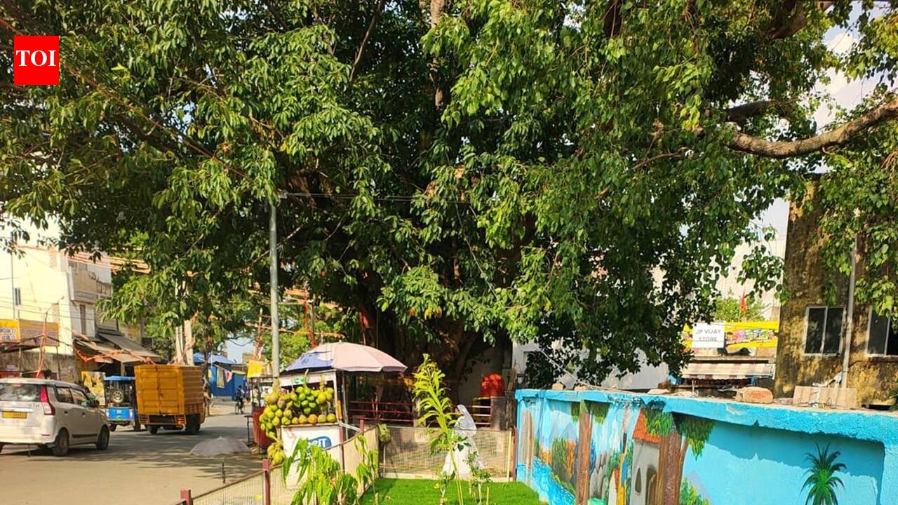 Ranchi Municipal Corporation launches drive to reclaim 500 encroached gift deed plots for green spaces and public utilities