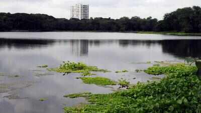 Rabindra Sarobar entry fee proposal sparks fresh maintenance debate