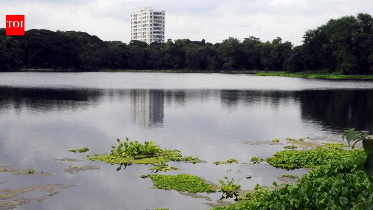 Rabindra Sarobar entry fee proposal sparks fresh maintenance debate