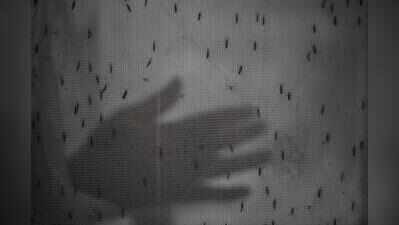 Jaipur among ‘most vulnerable’ dists to dengue, scrub typhus in monsoon