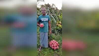 Rethinking areca: Mudipu farmer grows an orchard of 50 exotic fruits