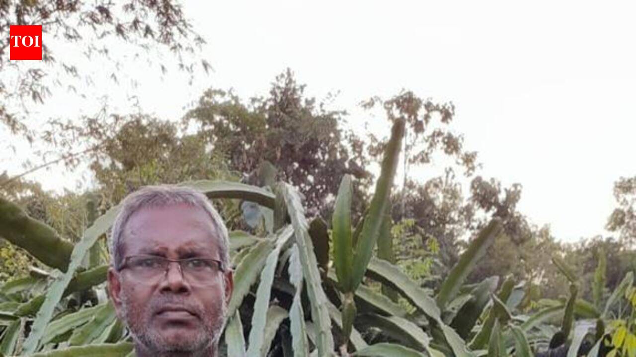 Rethinking areca: Mudipu farmer grows an orchard of 50 exotic fruits