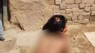 Woman stripped, paraded with shoe garland by partner’s family in Ujjain; 3 arrested