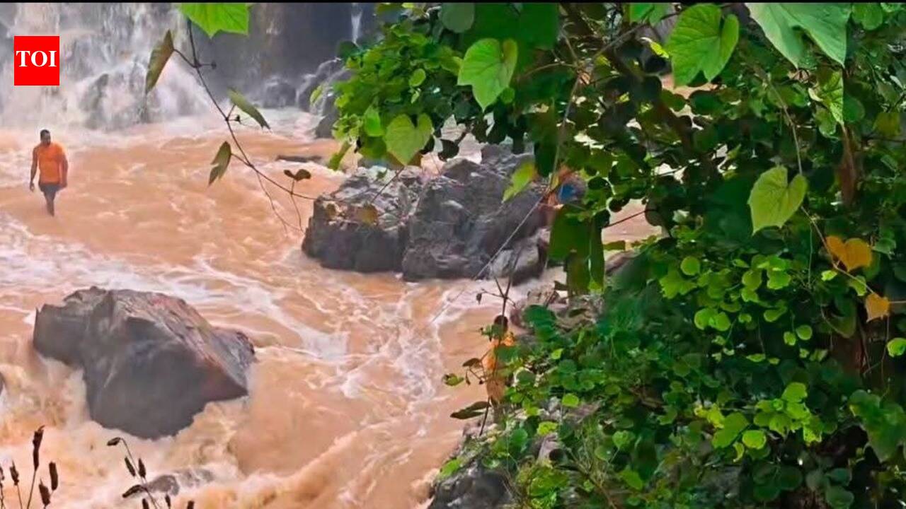Tourist missing from waterfall still traceless