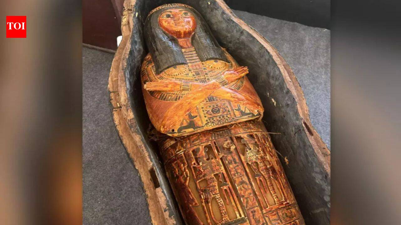 Buried for 3,000 years: Ancient Egyptian cemetery reveals rare Book of the Dead scroll