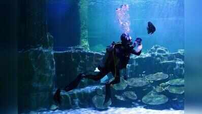 VGP’s failure to provide scuba dive footage costs it Rs 55,000
